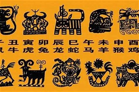 屬龍的名字喜忌|生肖龍取名宜忌：打造一生旺運好名字